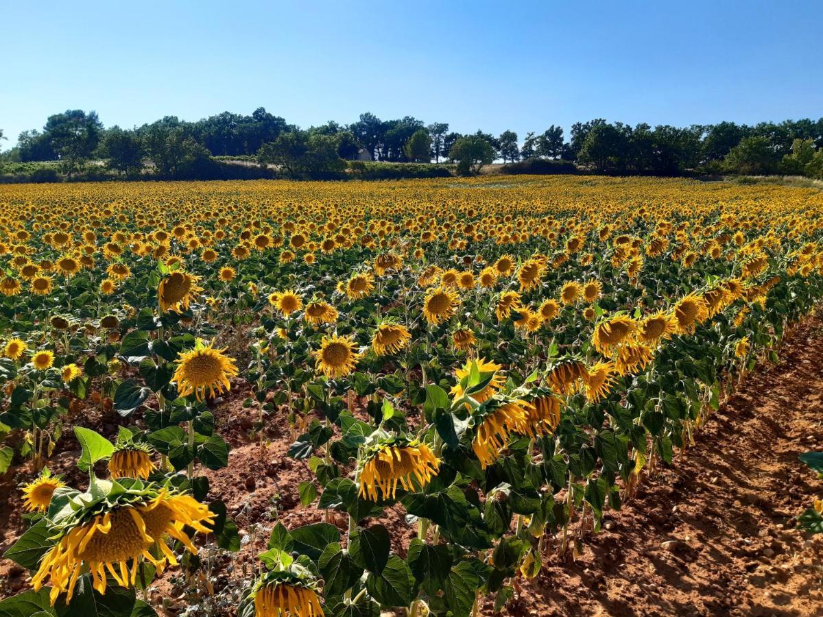 La Vita Dolce, Luberon Grambois Exterior foto